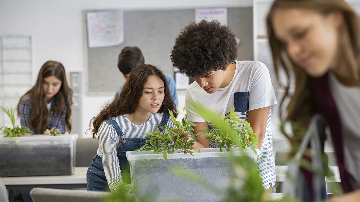 Sembrando O2 en escuelas de diferentes contextos