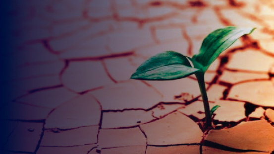 Entornos educativos resilientes